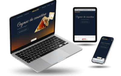 Création de site e-commerce à Angoulême